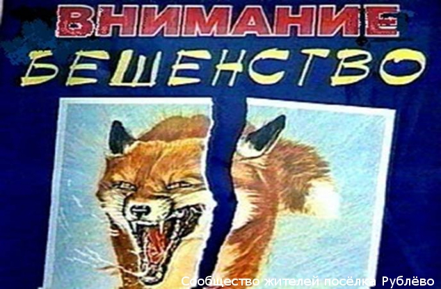 На территории р-на Кунцеов объявлен карантин по Бешенству! На территории р-на Кунцеов объявлен карантин по Бешенству!