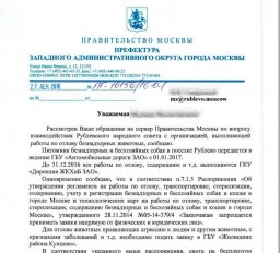 Ответ префектуры на предложения по решению проблем с бездомными животными. Ответ префектуры на предложения по решению проблем с бездомными животными.
