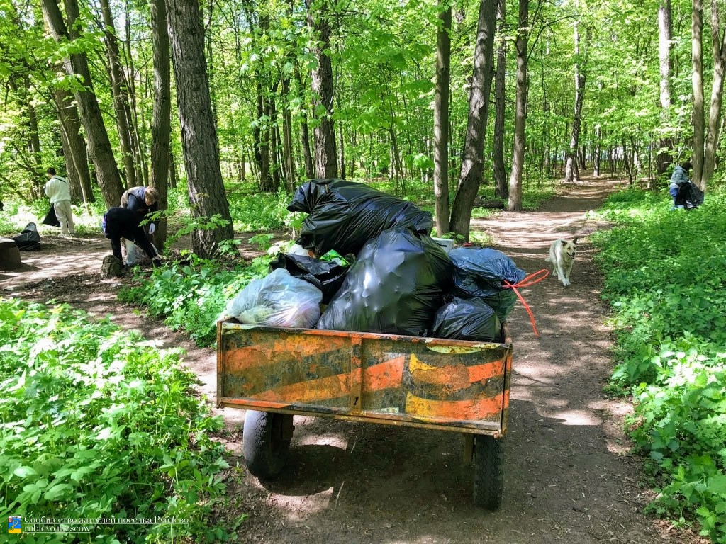 В Рублево состоялся очередной субботник по уборке леса 8 В Рублево состоялся очередной субботник по уборке леса 8