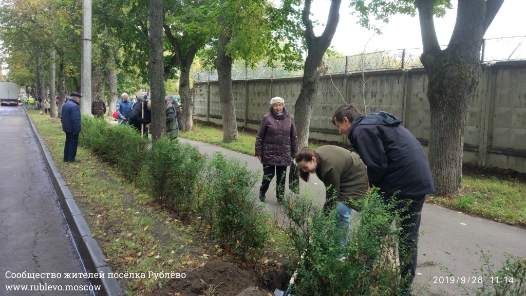Жители Рублёво провели субботник по посадке лип! 12
