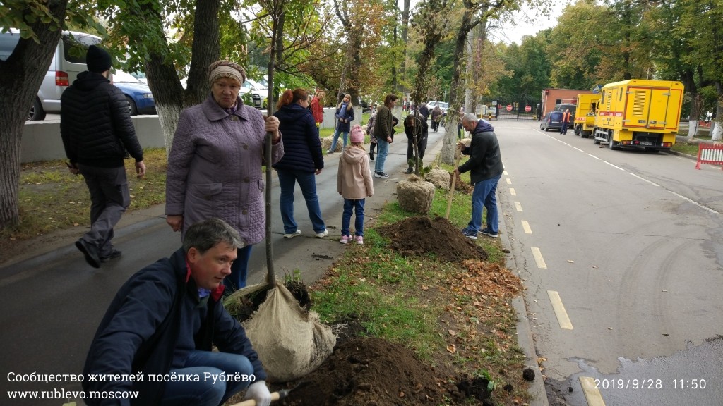 Жители Рублёво провели субботник по посадке лип! 25
