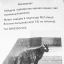 Найдена породистая кошка