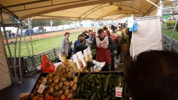 Депутаты проверили работу сезонной ярмарки около кинотеатра "Брест"