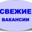 Менеджер. Удалённая работа.&nbsp;